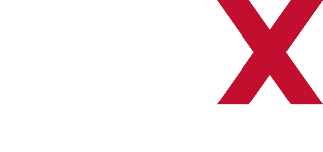 IBEX IT Business Experts